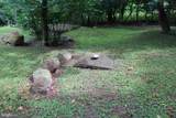 957 Butlers Chapel Road - Photo 102