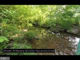 6759 Meadowside Drive - Photo 69