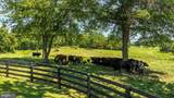 359 Ridgeway Road - Photo 145