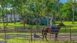 359 Ridgeway Road - Photo 88