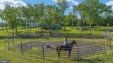359 Ridgeway Road - Photo 89