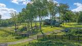 359 Ridgeway Road - Photo 95