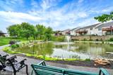 252 Equine Cove - Photo 36