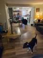 704 Tara Drive - Photo 4