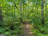 12883 Furnace Mountain Road - Photo 35