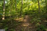 12883 Furnace Mountain Road - Photo 36