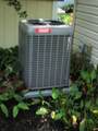 20 Chestnut Court - Photo 30