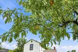 24177 Rapidan Road - Photo 31
