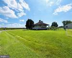 11708 Robyn Lane - Photo 8