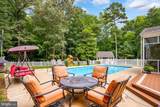 29046 Tanager Way - Photo 72