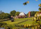 15158 Berlin Turnpike - Photo 16