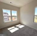 7924 Olive Branch Lane - Photo 12