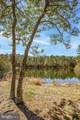 37438 Pettinaro Drive - Photo 101