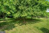 12179 Enfield Lane - Photo 51