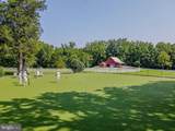 246 Mill Swamp Road - Photo 65