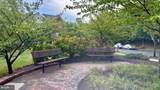 504 Ava Way - Photo 10