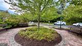 504 Ava Way - Photo 9
