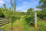 531 Cedar Grove Road - Photo 56