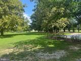 32659 Discovery Drive - Photo 53