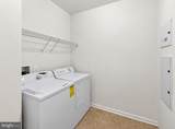 24636 Woolly Mammoth Terrace - Photo 42