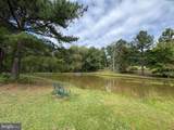 329 Hawks Nest - Photo 68