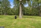 3204 Mountain Road - Photo 128
