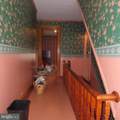 3559 Lemar Road - Photo 35