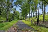10022 Colvin Run - Photo 2