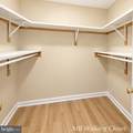 14317 Climbing Rose Way - Photo 11