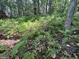 217 Bucktoe Road - Photo 44