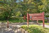 3118 Borge Street - Photo 40
