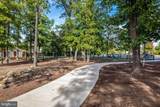 24637 Woolly Mammoth Terrace - Photo 53