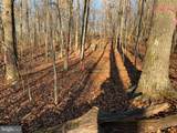 Lot 1 Carters Run - Photo 22