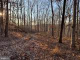 Lot 1 Carters Run - Photo 27