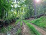 Lot 1 Carters Run - Photo 41