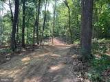 Lot 1 Carters Run - Photo 5