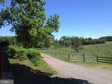 4500 Winery Lane - Photo 3