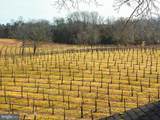 4500 Winery Lane - Photo 4