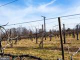 4500 Winery Lane - Photo 56