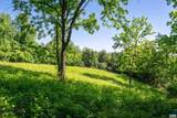 TBD Rockfish Orchard Dr - Photo 10