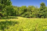 TBD Rockfish Orchard Dr - Photo 12