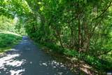 TBD Rockfish Orchard Dr - Photo 25