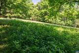 TBD Rockfish Orchard Dr - Photo 9