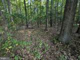 36810 Bushwood Drive - Photo 6