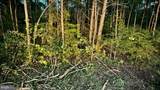  Leedstown Road - Photo 7