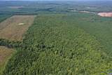 TBD James Anderson Hwy - Photo 49