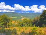 411 Rimfire Road; Jordan Run Road - Photo 14
