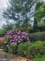 4024 Iva Lane - Photo 40