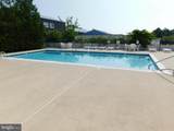 35780 Gloucester Circle - Photo 43