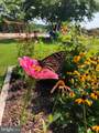 8206 Skipjack Drive - Photo 89